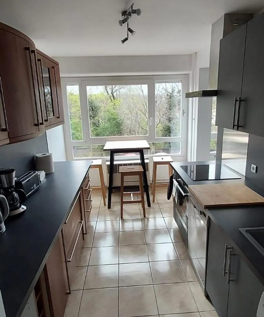 Appartement 93M² Renove 4 Ch. Oullins Apartment
