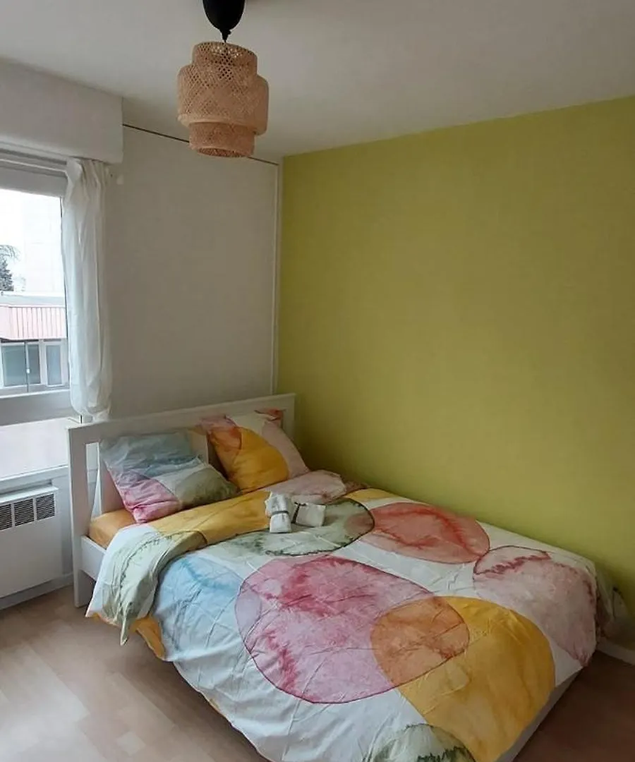 Appartement 93M² Renove 4 Ch. Oullins France